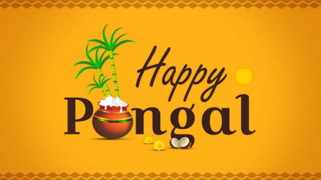 Happy Pongal 2021 Wishes images messages, quotes, greetings card, status in Tamil, Telugu, Malayalam, Kannada, Hindi, and English languages for friends and family.